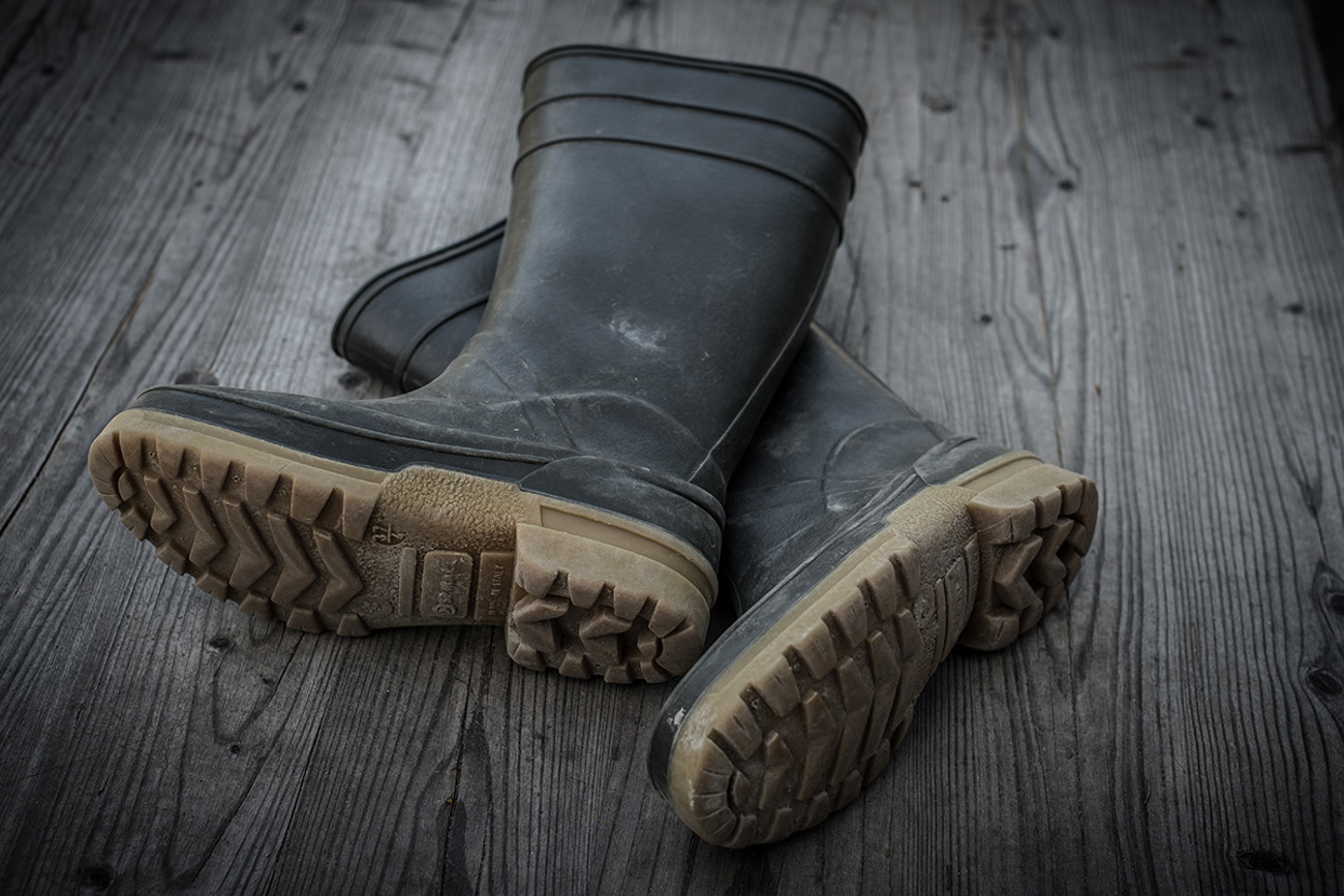 sa_pf_12-17-1006.jpg sa_pf_12-17-1006.jpg