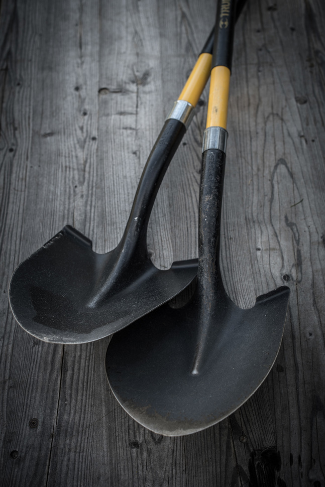 sa_pf_12-17-1018.jpg sa_pf_12-17-1018.jpg