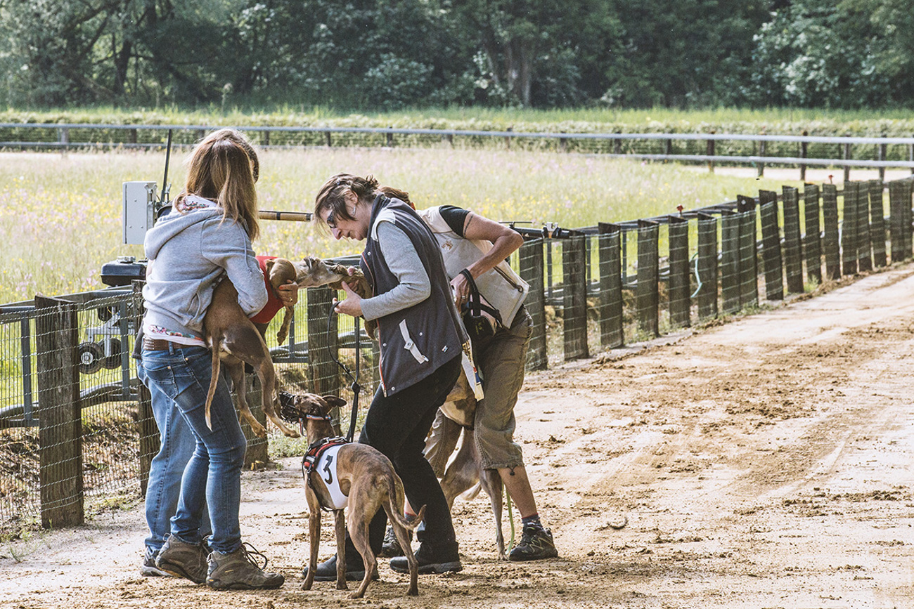 dograce026.jpg dograce026.jpg