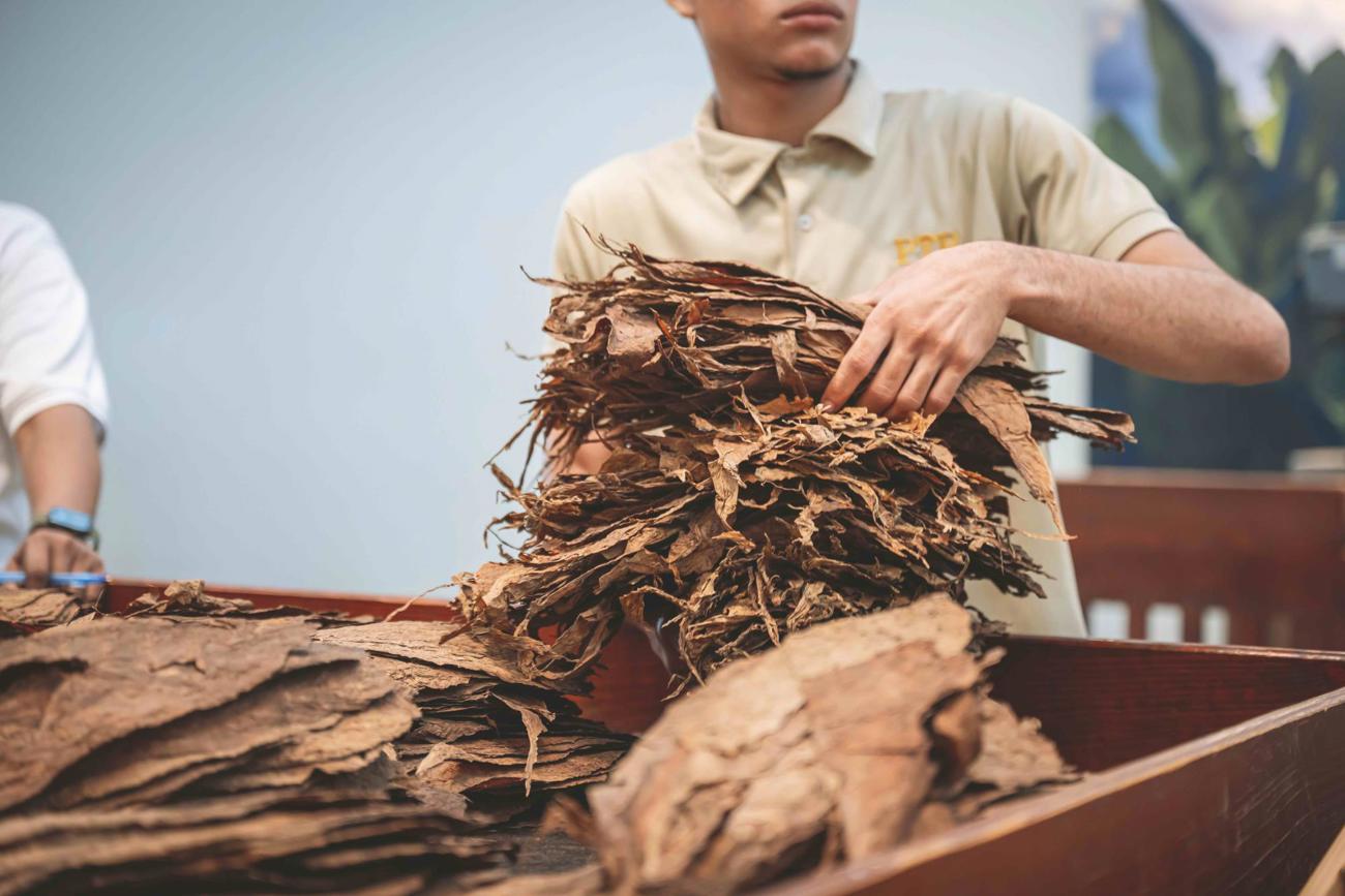 Odag Ctshop Domrep Prod Blending 008 Kopie