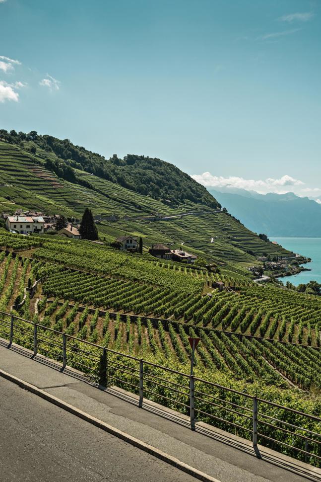 sts9041_1-1.jpg sts9041_1-1.jpg