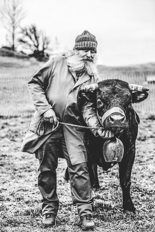 eringerkuh046.jpg eringerkuh046.jpg