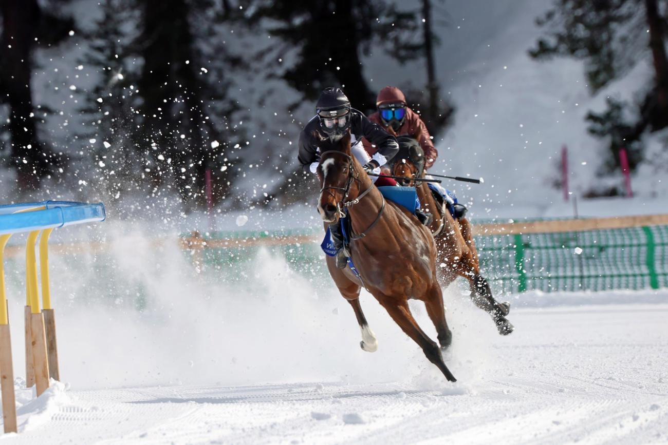 andy-mettler7.jpg andy-mettler7.jpg