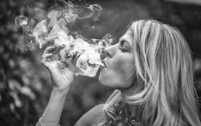 Presidente Cigars Foto Cigar Magazin Store