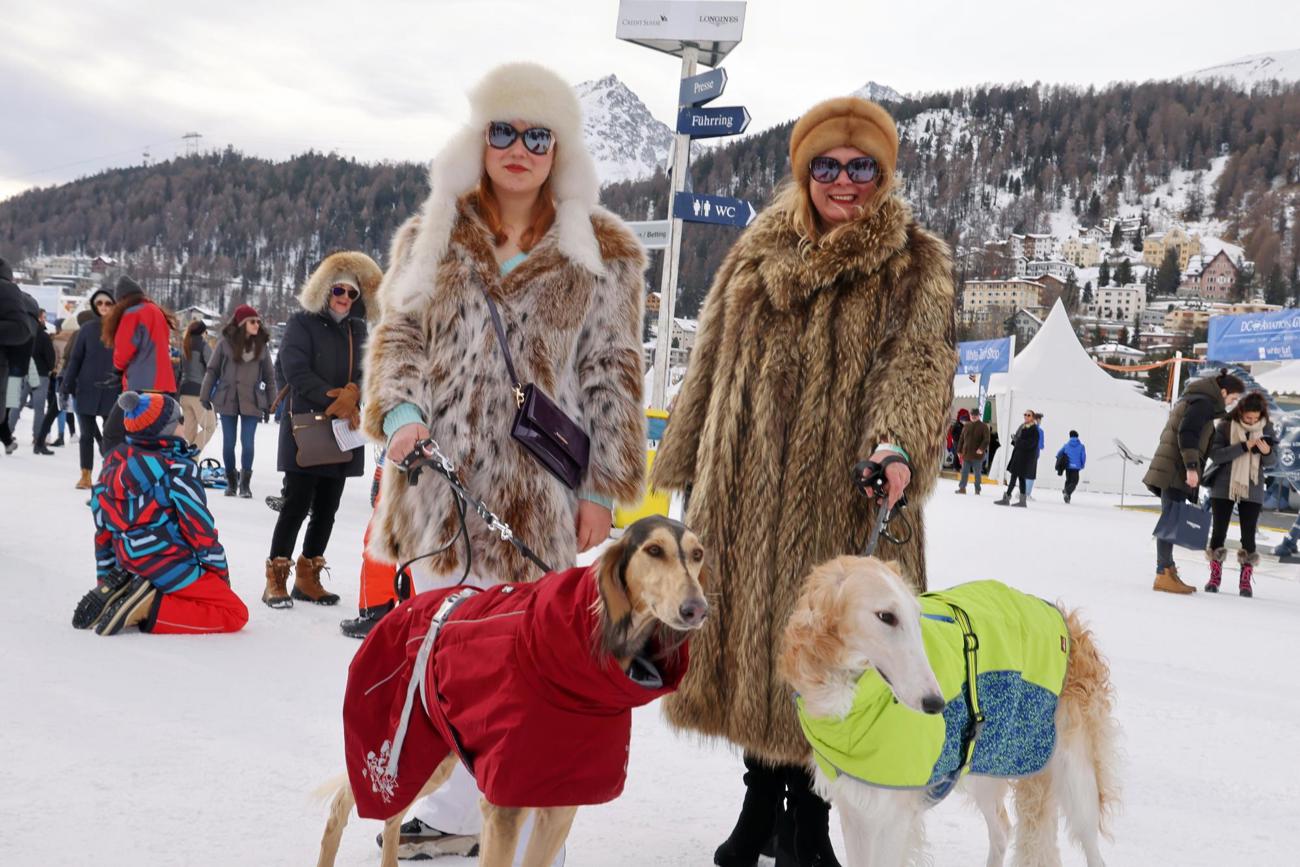 andy-mettler2.jpg andy-mettler2.jpg