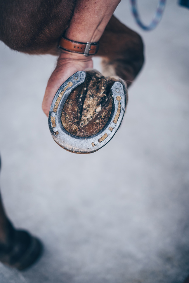 20180809-salz-und-pfeffer-interlaken_2.jpg 20180809-salz-und-pfeffer-interlaken_2.jpg